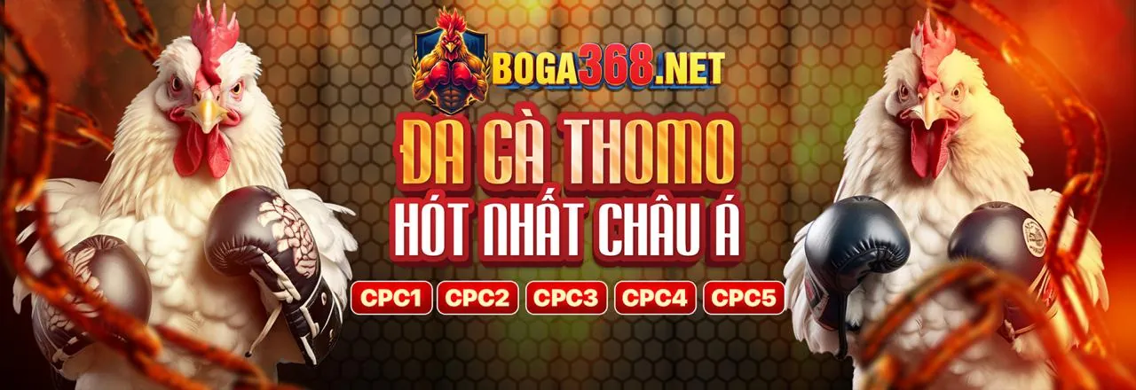 Đá Gà Trực Tuyến Hấp Dẫn tại 32win Link Mới